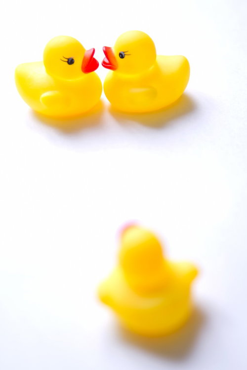 2匹がくっつく現場に遭遇して驚くあひるちゃん