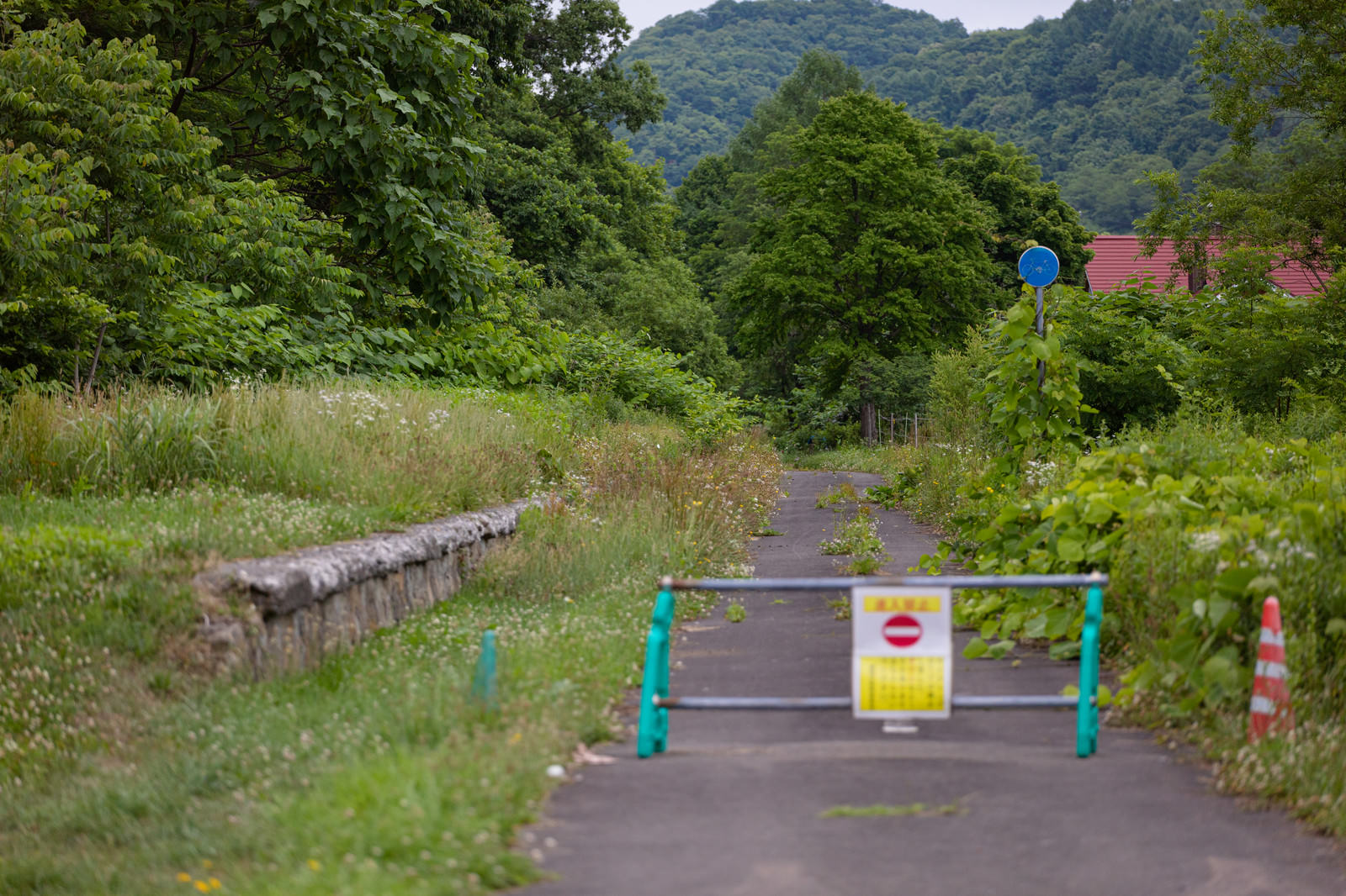 緑の森林に囲まれた舗装された小道が黄色と青のバリケードで立入禁止になっている様子