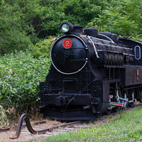 4110形式十輪連結タンク機関車2号が静態保存される廃線跡の写真