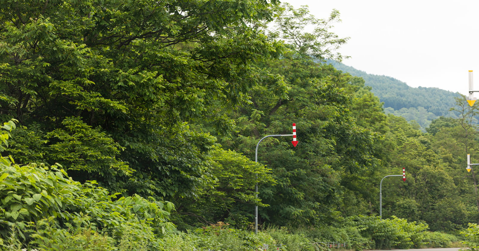 緑豊かな山道のカーブに設置された白と赤の矢羽根（視線誘導標）
