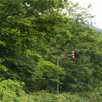 雪国の山道に設置された矢羽根（視線誘導標）の写真