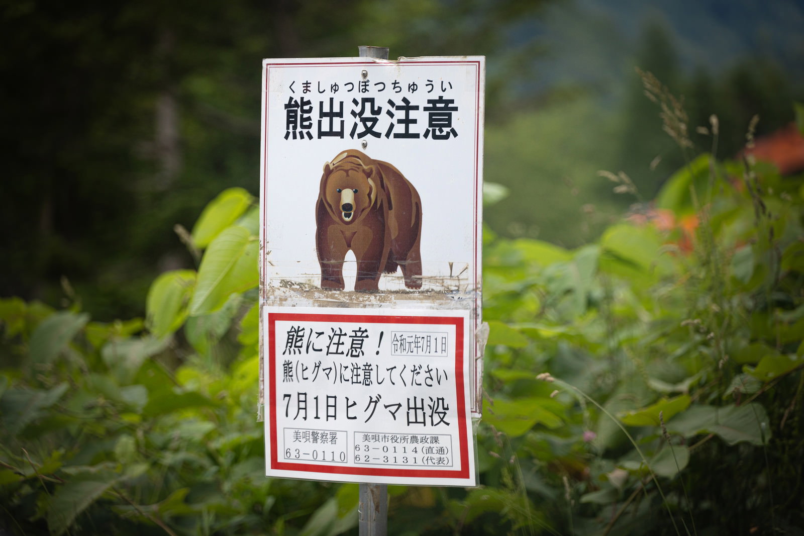White warning sign with text 'Caution: Bear Sightings'