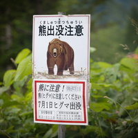 熊出没注意の看板（ヒグマの警告表示）野生動物対策の写真