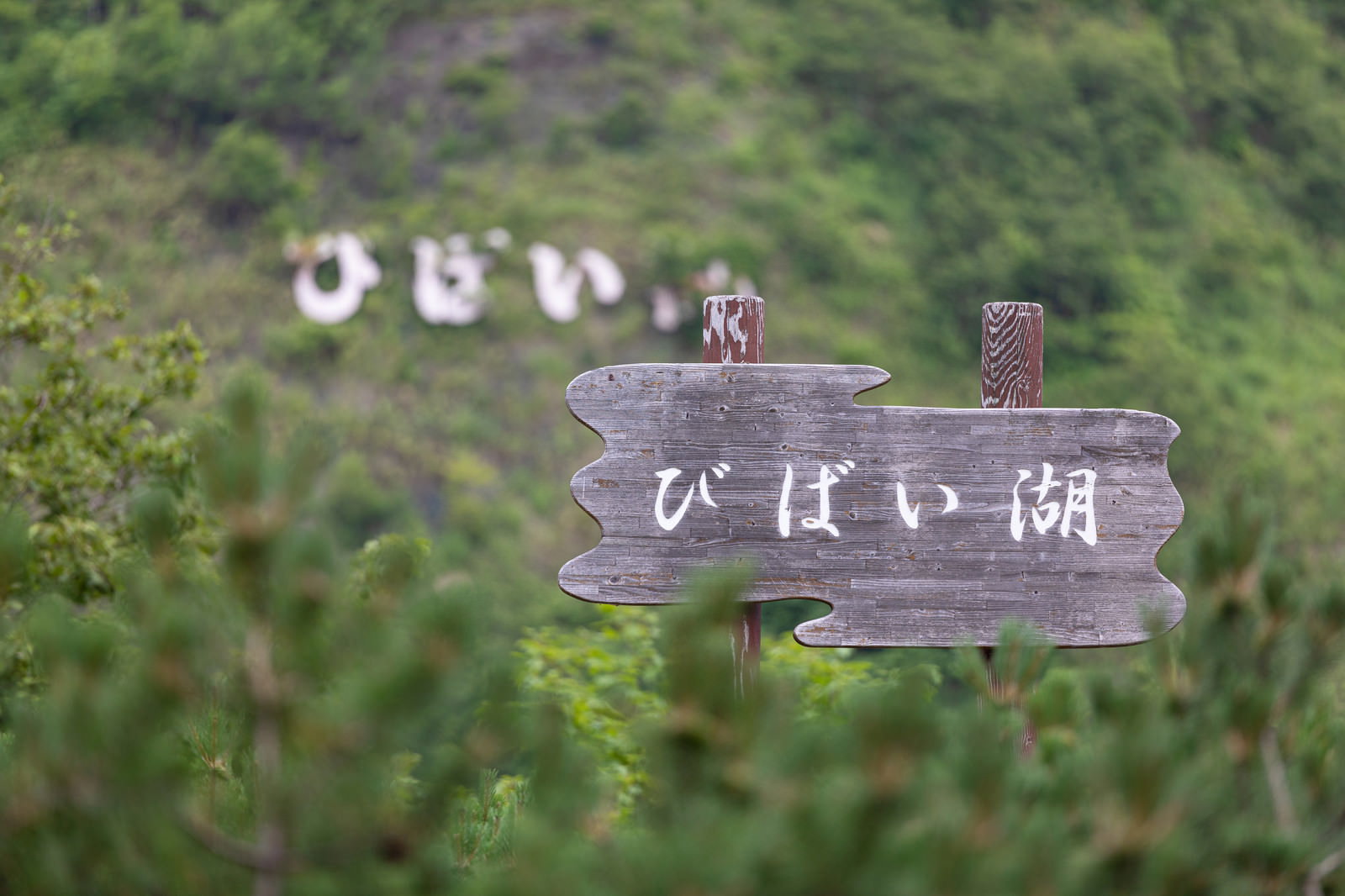 緑の自然を背景にした木製の道標に「びばい湖」と刻まれている