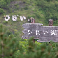 美唄湖と書かれた木製の道標と北海道の自然景観の写真
