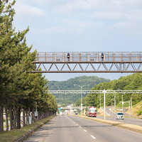 道路に設置された速度違反自動取締装置（オービス）の写真