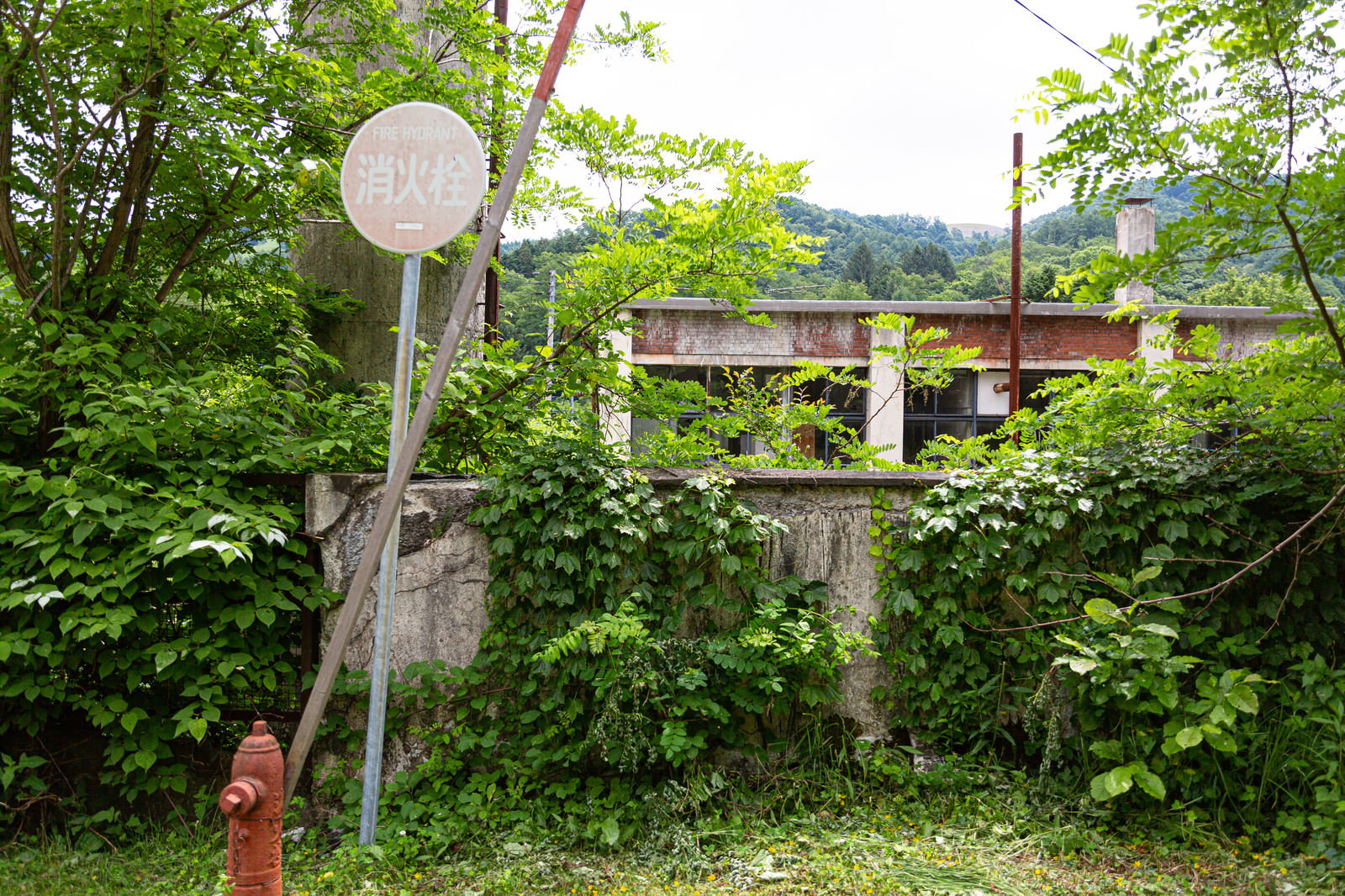 緑に覆われた廃墟となった我路郵便局の裏手の様子
