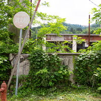 緑に覆われた廃墟、閉鎖した我路郵便局の裏手の写真