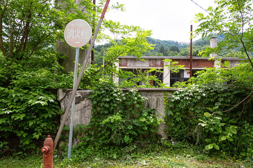 緑に覆われた廃墟、閉鎖した我路郵便局の裏手