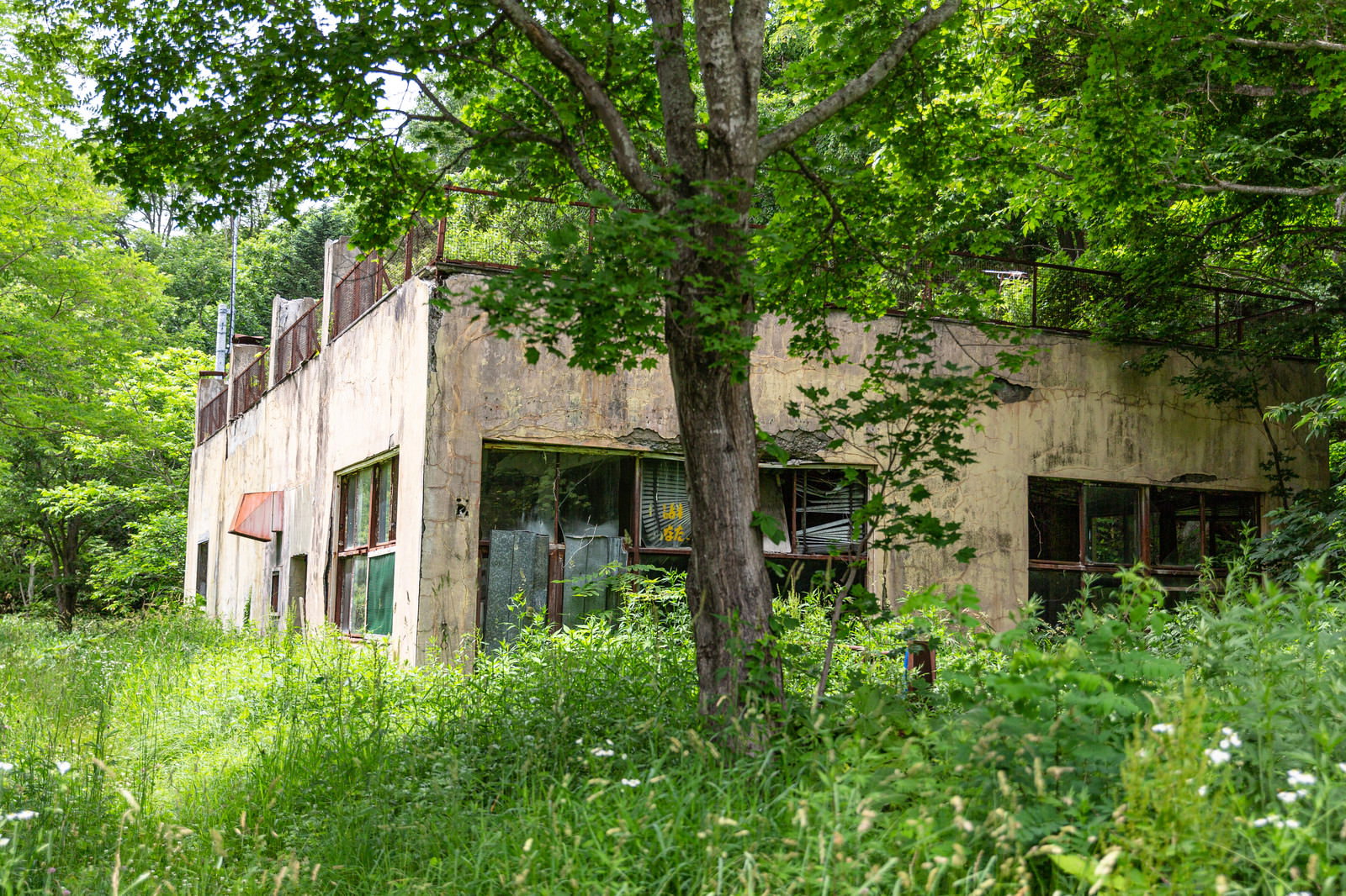 緑の草木に囲まれ朽ちかけた廃墟のコンクリート建物