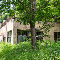 草が生い茂る中、佇む朽ちた廃墟の建物と自然侵食の写真