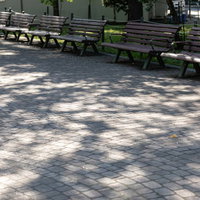 木漏れ日の影が落ちる公園のベンチと石畳の風景の写真