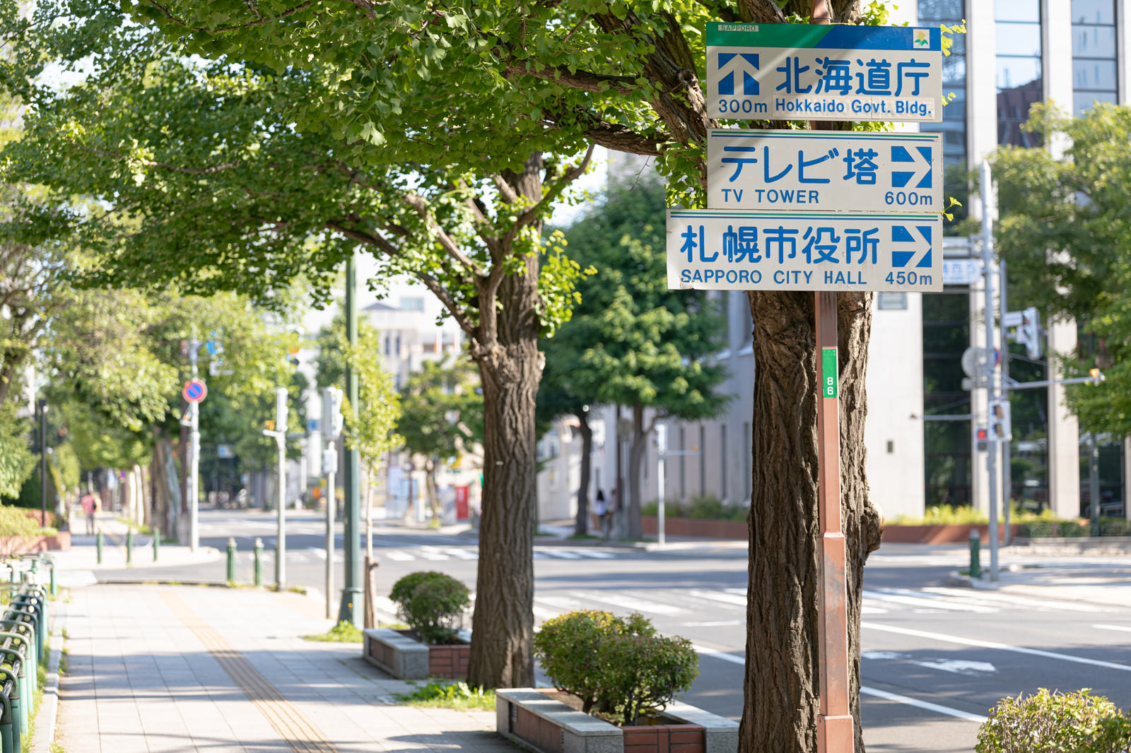 大通公園付近の歩道に設置された青い案内板の指導標