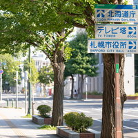 大通公園付近の歩道に設置された指導標識と案内板の写真