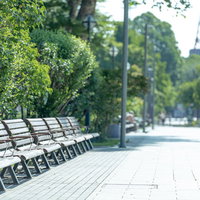 札幌大通公園の木陰に並ぶベンチと街路樹の風景の写真