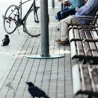 公園のベンチに座るご年配と食べ物を狙うカラスの写真