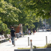 公園のベンチで休憩する人と通りを行き交う人々の写真