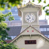 木陰から見る札幌市時計台（北海道札幌市中央区）の写真