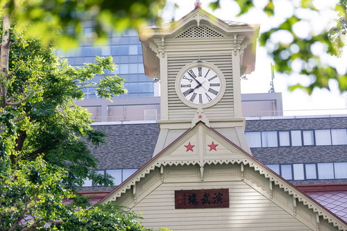 木陰から見る札幌市時計台（北海道札幌市中央区）