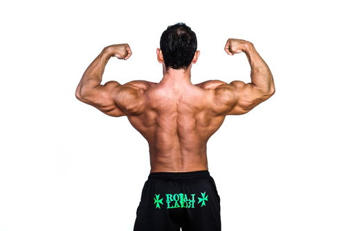 ダブルバイセップス・バックで両腕の筋肉をポージングするボディビルダー