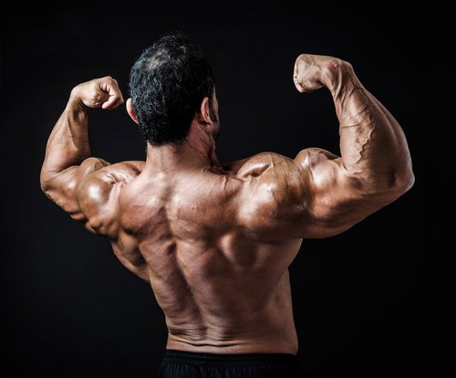 背中を向けてダブルバイセップスポーズを決めるボディビルダー男性