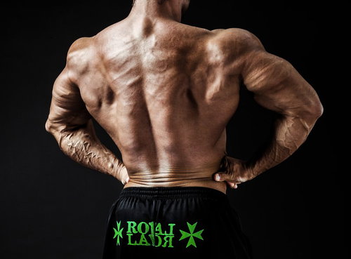 ボディビルダーの発達した背中と肩、僧帽筋と三角筋の筋肉美