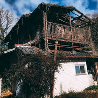 つたが絡んだ人が住む気配のない廃屋の外観の写真