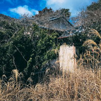 雑草に覆われ踏み込むのも困難な廃屋の建物跡の写真