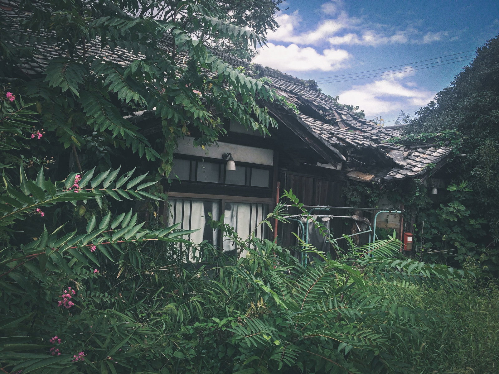緑の植物に覆われ瓦屋根が崩れた古い廃屋