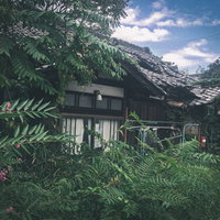 瓦屋根が倒壊し誰も住んでいない廃屋を覆う雑草と植物の写真