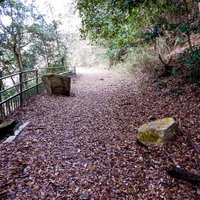 秋の山道に散らばる落葉と落石が積もる廃道の風景の写真