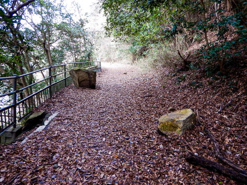 秋の山道に散らばる落葉と落石が積もる廃道の風景