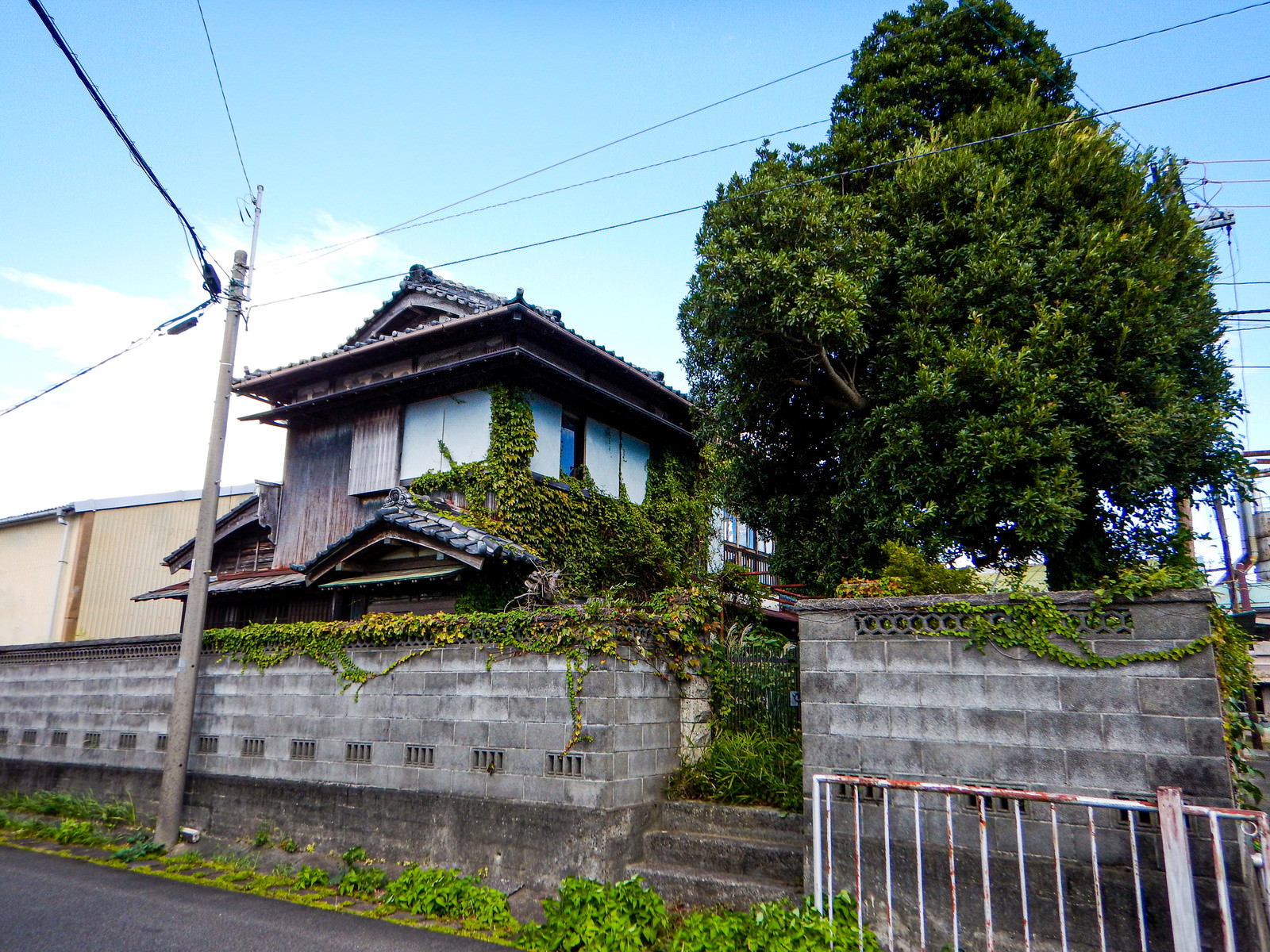 蔦が這う古い平屋の空き家とコンクリートブロック塀