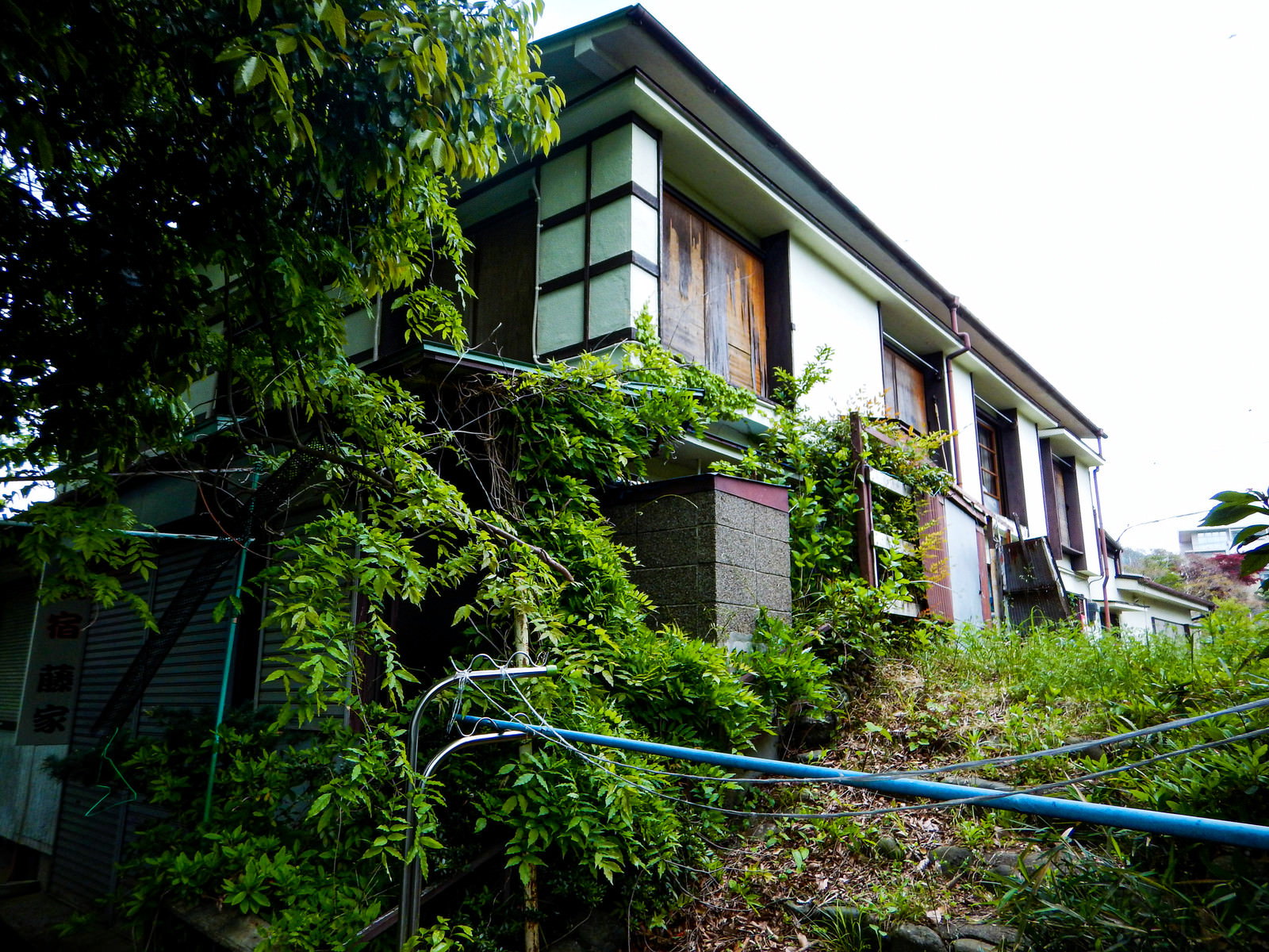 緑に覆われた廃業した2階建ての空き旅館