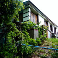 廃業した空き旅館と緑に覆われた建物、苔やツタが付着した和風建築の写真