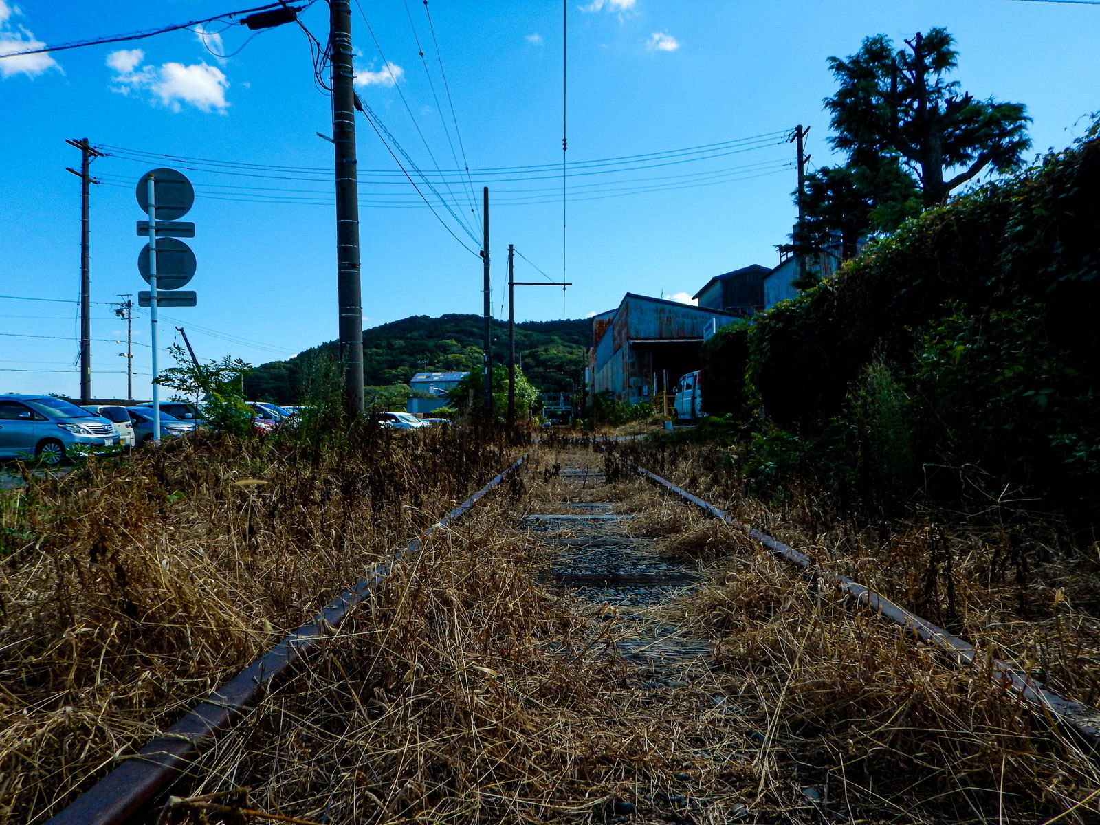 青い空の下に続く廃線跡のレールと雑草が生い茂る線路