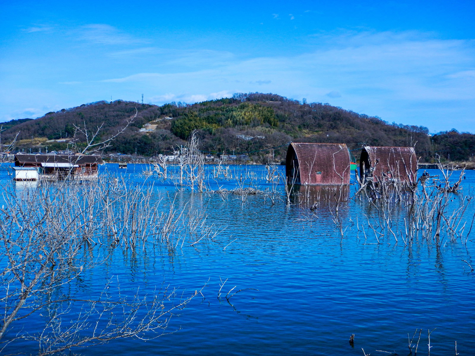 青い空の下、水面に浸かった錆びたペンションと立ち枯れの木々