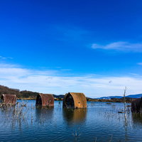 青空の下、水に浸かる水没したペンションと立ち枯れた木々の写真