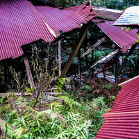崩れ落ちたトタン屋根と散乱する破片（養鶏場跡の廃屋）の写真