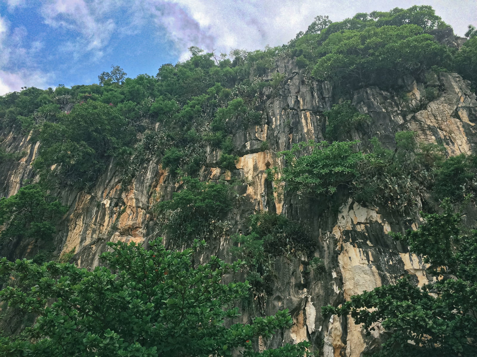 ベトナムダナンの五行山の岩山が緑の森に覆われている様子