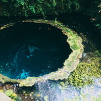 湧き水で水苔の輪が広がる柿田川の清流と湧水群の写真
