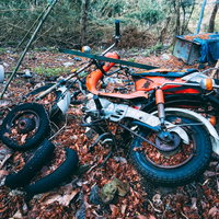 森に放置された錆付きオレンジ色のバイクと落ち葉の写真