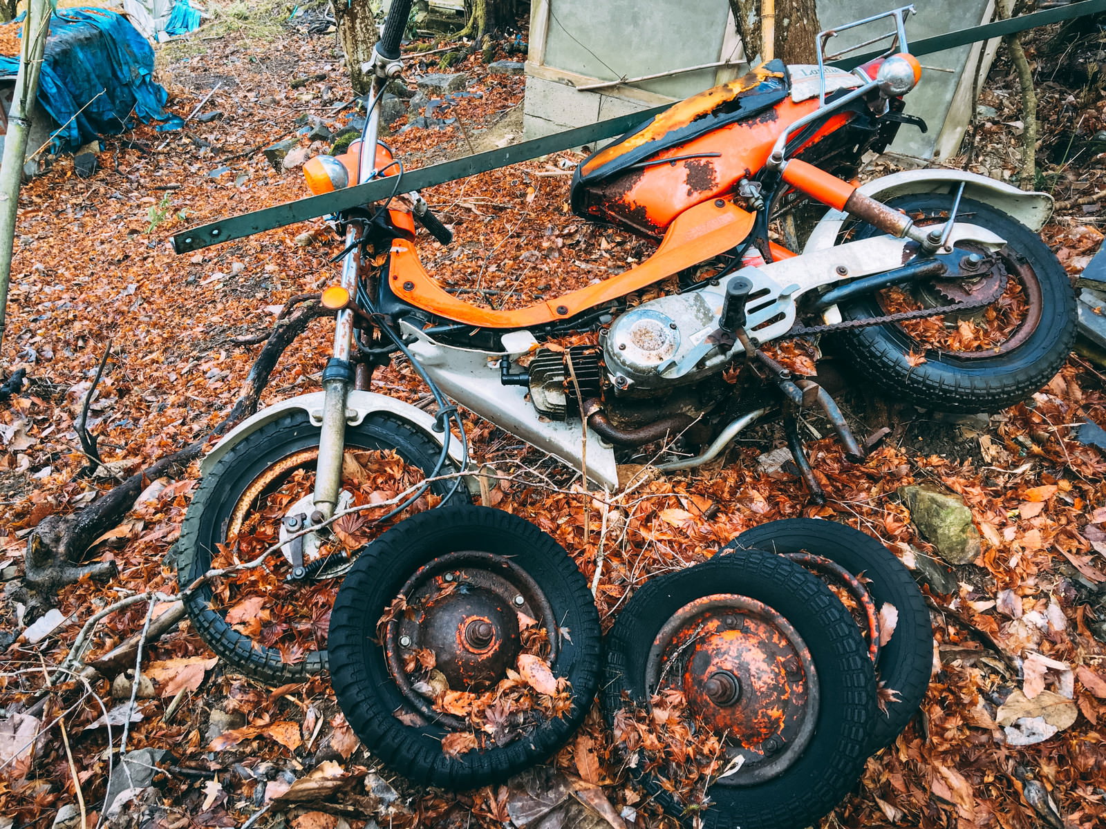 落ち葉の散らばる地面に不法投棄されたバイクとタイヤ