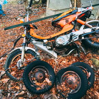落ち葉が散らばる地面に不法投棄されたバイクと複数のタイヤの写真