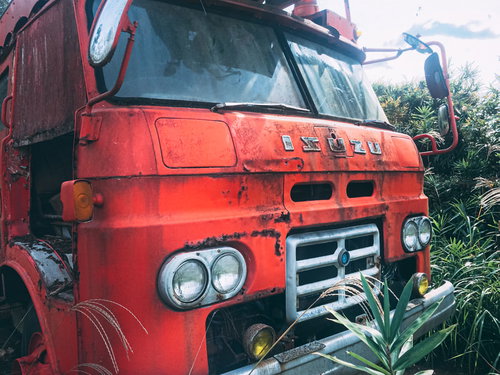 生い茂る雑草の中に佇む廃トラック