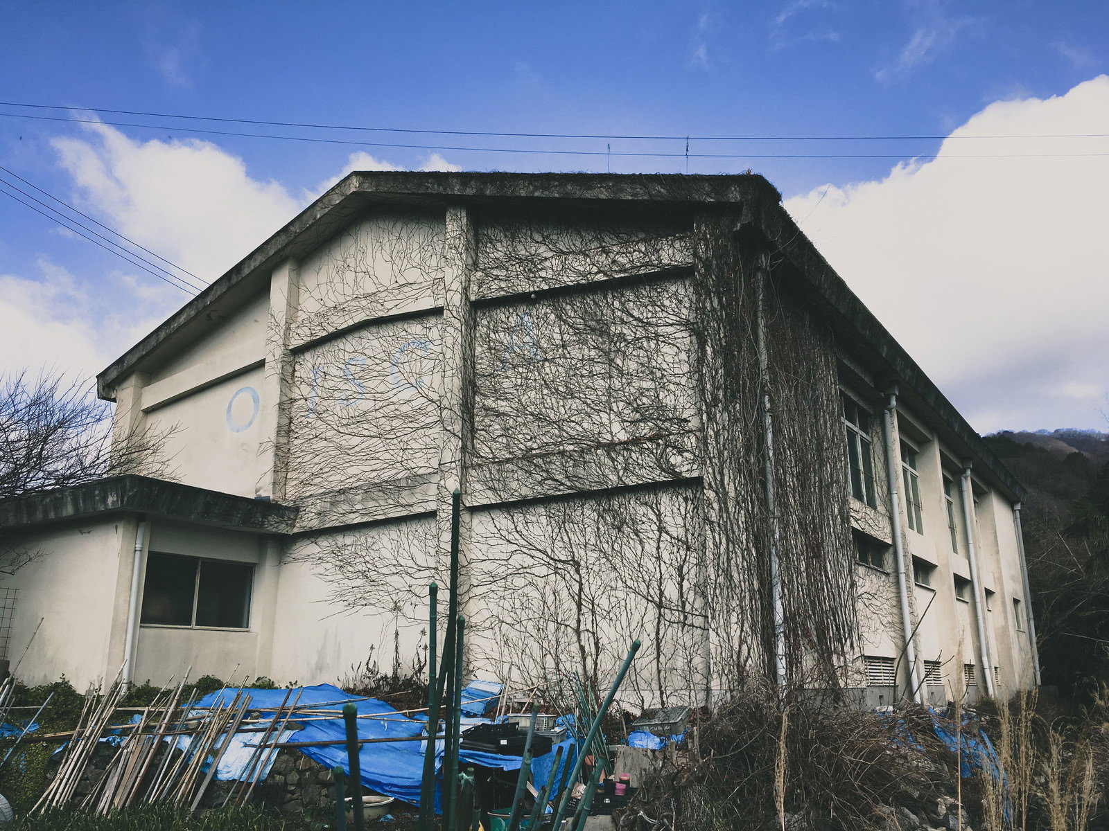 白い外壁に蔦が絡みついた廃校の体育館と青空