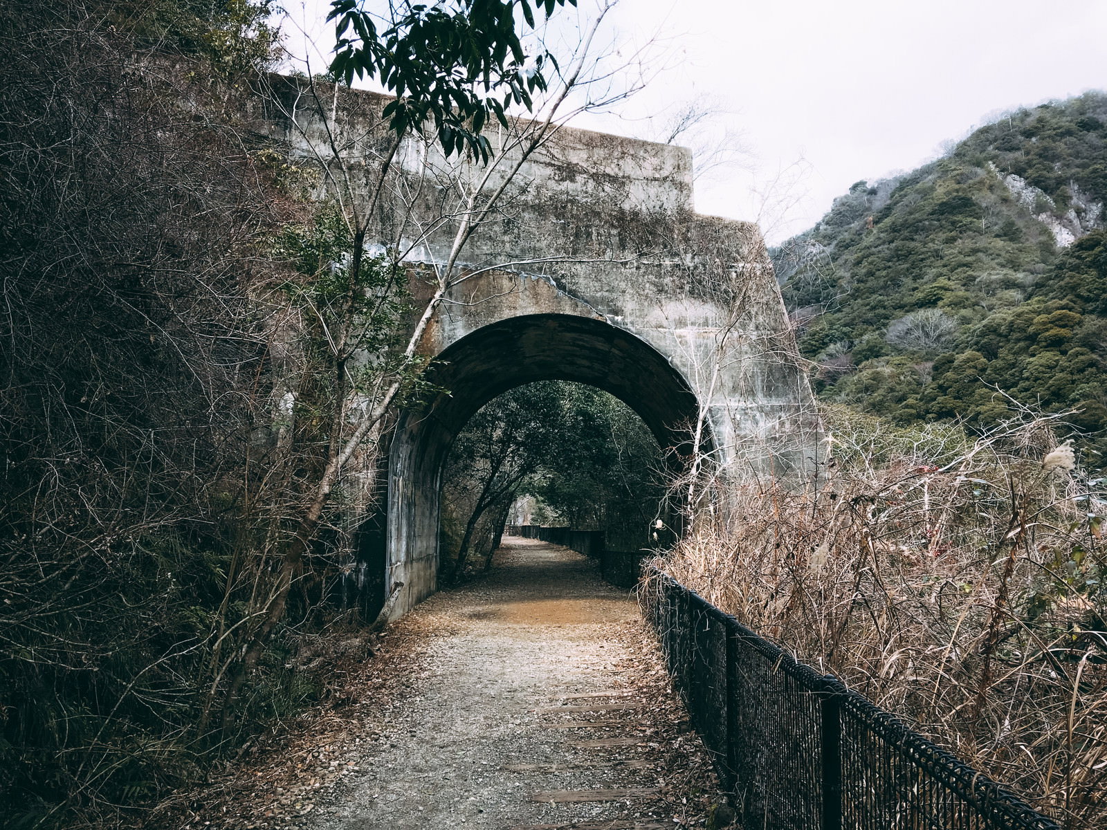緑に囲まれた山道に石造りの短いトンネルと手前の小橋