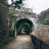 山道の中に現れた短いトンネル、JR福知山線廃線敷の写真