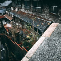 蔦に侵食されて倒壊していく家屋の写真