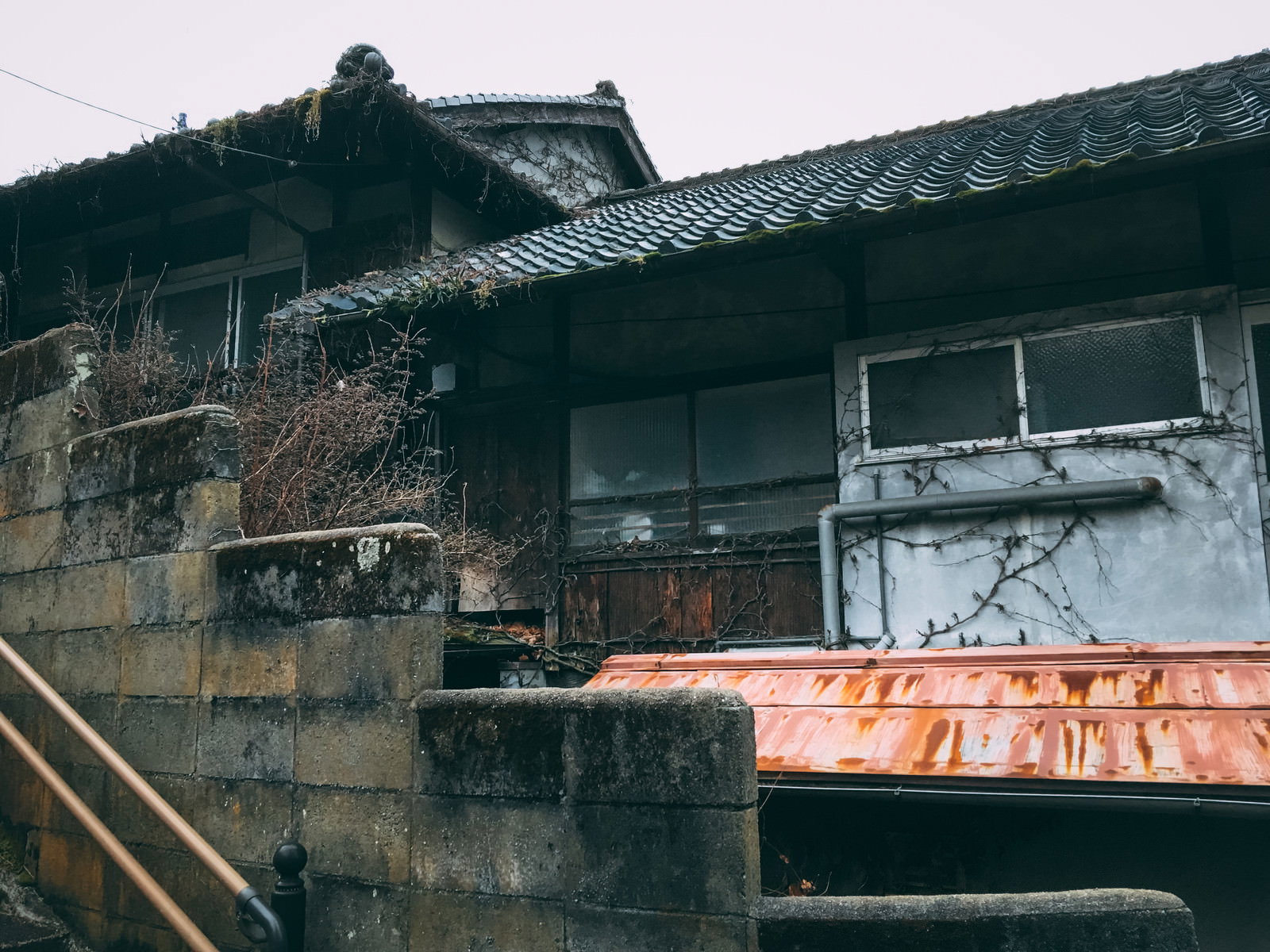 蔦に覆われた古い平屋建ての民家とブロック塀